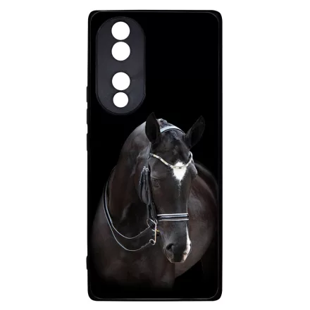 barna lovas ló Honor 70 tok