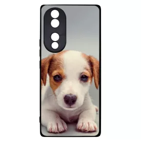 Angyali Jack Russel Terrier kis kutya Honor 70 tok