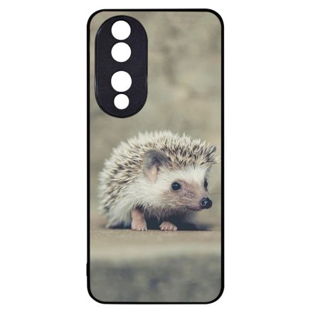 süni sünis Honor 90 tok