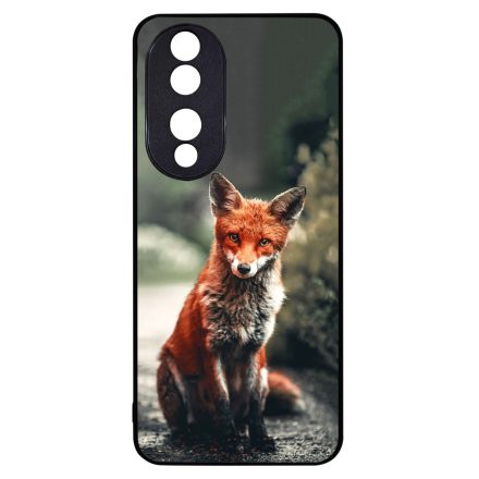 Autumn Fox őszi róka Honor 90 tok