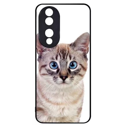 Tündéri házi cicus cicás Honor 90 tok