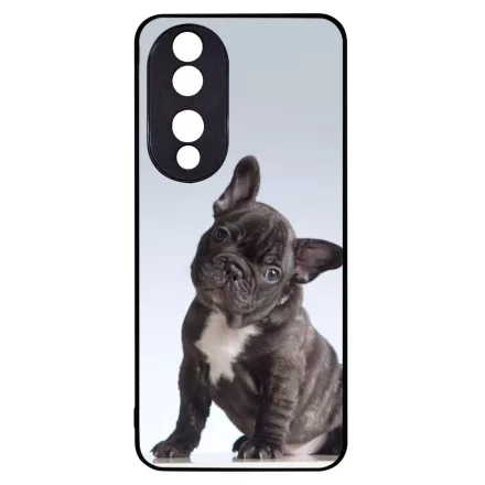 Tündéri Francia bulldog Honor 90 tok