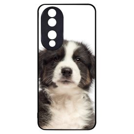 A legédesebb ausztrál juhász kis kutya Honor 90 tok