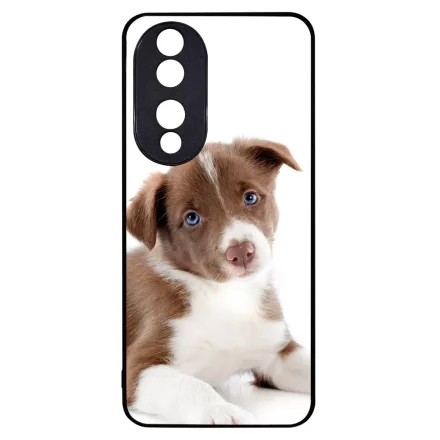 Édes Border Collie kölyök kutyus Honor 90 tok