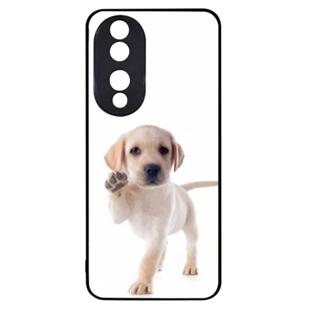 Kérsz Pacsit - Labrador kutyus Honor 90 tok