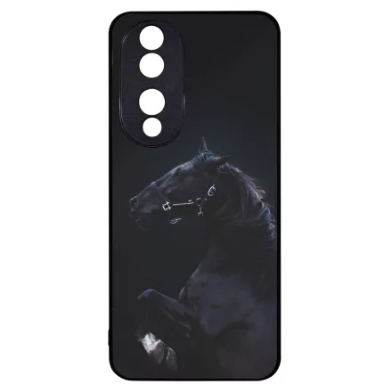 Apollo, a lenyűgöző - Lovas Honor 90 tok