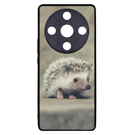 süni sünis Honor Magic 6 Lite tok