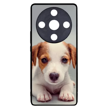Angyali Jack Russel Terrier kis kutya Honor Magic 6 Lite tok