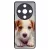Angyali Jack Russel Terrier kis kutya Honor Magic 6 Lite tok