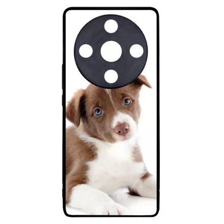 Édes Border Collie kölyök kutyus Honor Magic 6 Lite tok