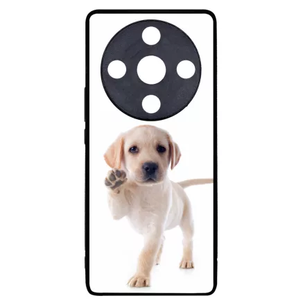 Kérsz Pacsit - Labrador kutyus Honor Magic 6 Lite tok