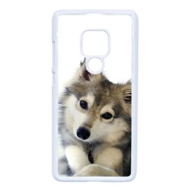 kutyás kutyus Huawei Mate 20 fehér tok