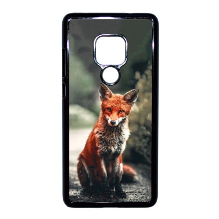 Autumn Fox őszi róka Huawei Mate 20 tok