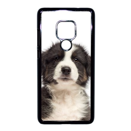 A legédesebb ausztrál juhász kis kutya Huawei Mate 20 tok