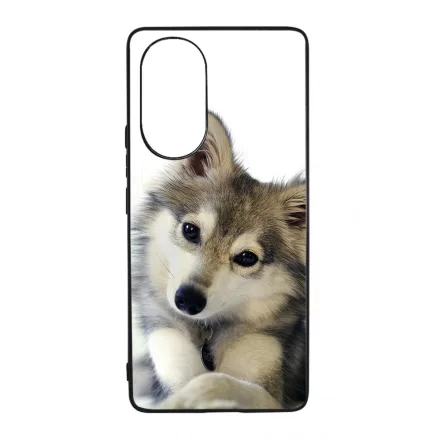 kutyás kutyus Huawei Nova 9 tok