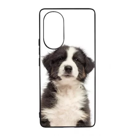 A legédesebb ausztrál juhász kis kutya Huawei Nova 9 tok