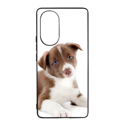 Édes Border Collie kölyök kutyus Huawei Nova 9 tok