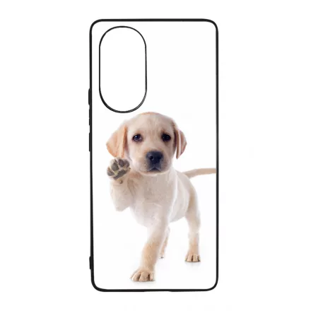 Kérsz Pacsit - Labrador kutyus Huawei Nova 9 tok
