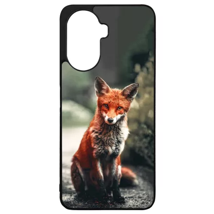Autumn Fox őszi róka Huawei Nova Y70 tok