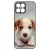 Angyali Jack Russel Terrier kis kutya Honor X8 tok