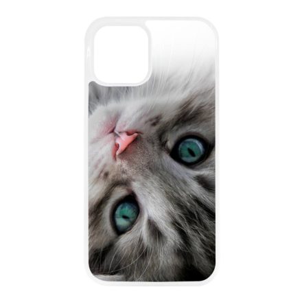 cica cicás macskás iPhone 12 - 12 Pro átlátszó tok
