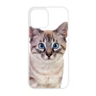 Tündéri házi cicus cicás iPhone 12 Pro Max tok