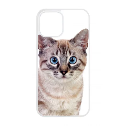 Tündéri házi cicus cicás iPhone 12 Pro Max Magsafe tok