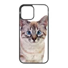 Tündéri házi cicus cicás iPhone 12 Pro Max Magsafe tok