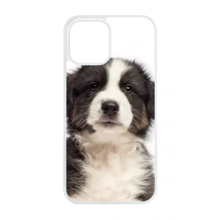 A legédesebb ausztrál juhász kis kutya iPhone 12 Pro Max Magsafe tok