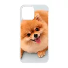 Pomerániai spitz - Akarsz játszani iPhone 12 Pro Max Magsafe tok