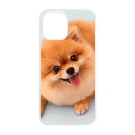 Pomerániai spitz - Akarsz játszani iPhone 12 Pro Max Magsafe tok