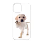 Kérsz Pacsit - Labrador kutyus iPhone 12 Pro Max Magsafe tok