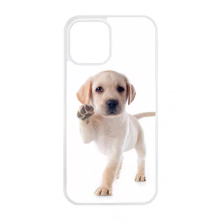 Kérsz Pacsit - Labrador kutyus iPhone 12 Pro Max Magsafe tok