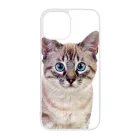 Tündéri házi cicus cicás iPhone 13 Mini tok