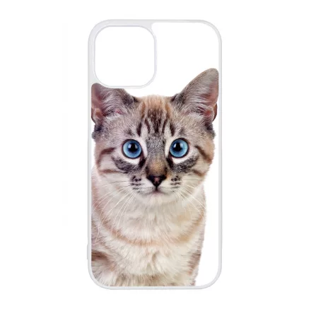 Tündéri házi cicus cicás iPhone 13 Mini tok