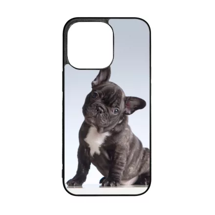 Tündéri Francia bulldog iPhone 13 Pro Magsafe tok