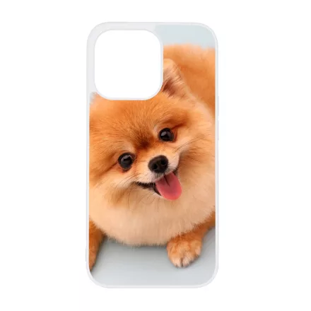 Pomerániai spitz - Akarsz játszani iPhone 13 Pro Magsafe tok