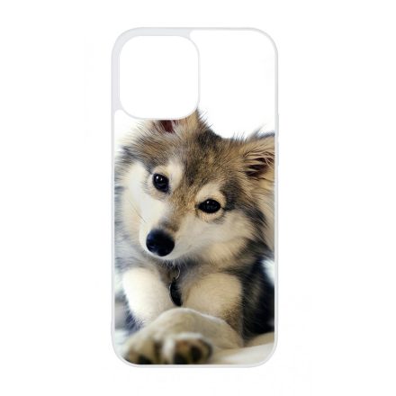 kutyás kutyus iPhone 13 Pro Max Magsafe tok