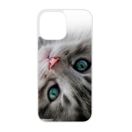 cica cicás macskás iPhone 13 Pro Max Magsafe tok