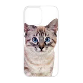 Tündéri házi cicus cicás iPhone 13 Pro Max tok