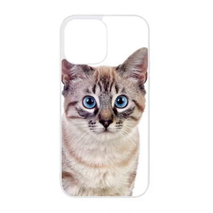 Tündéri házi cicus cicás iPhone 13 Pro Max tok