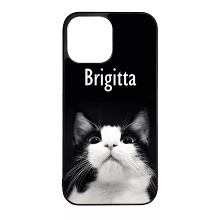 Kérd a neveddel - Cicus iPhone 13 Pro Max tok