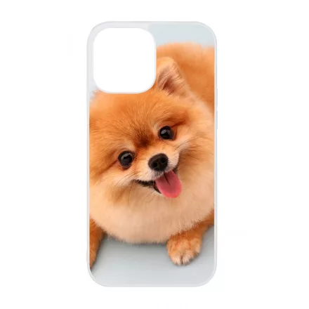 Pomerániai spitz - Akarsz játszani iPhone 13 Pro Max Magsafe tok