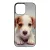 Angyali Jack Russel Terrier kis kutya iPhone 13 Pro Max tok