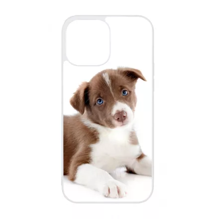 Édes Border Collie kölyök kutyus iPhone 13 Pro Max Magsafe tok