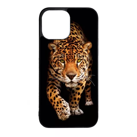Wild Beauty Jaguar Wild Beauty Csajos Allat mintas iPhone 13 Pro Max Magsafe tok