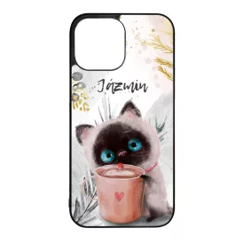 Kávézós cicus - Téli mintás iPhone 13 Pro Max tok