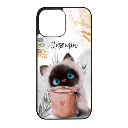 Kávézós cicus - Téli mintás iPhone 13 Pro Max tok
