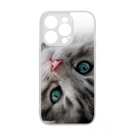 cica cicás macskás iPhone 14 Pro Magsafe tok