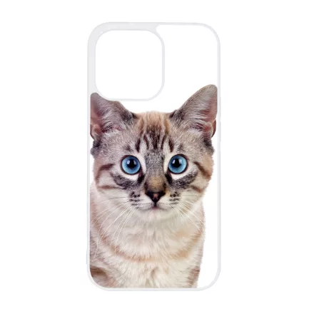 Tündéri házi cicus cicás iPhone 14 Pro tok